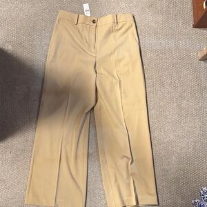 Ann Taylor Beige Curvy Trousers